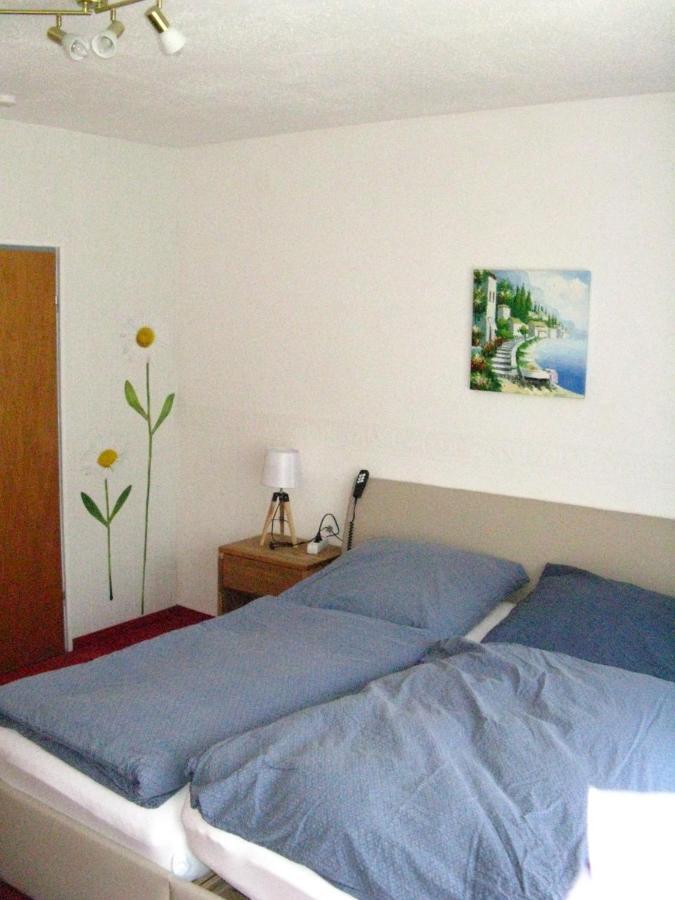Bio-Hotel Zum Forsthaus Altenau  Bagian luar foto