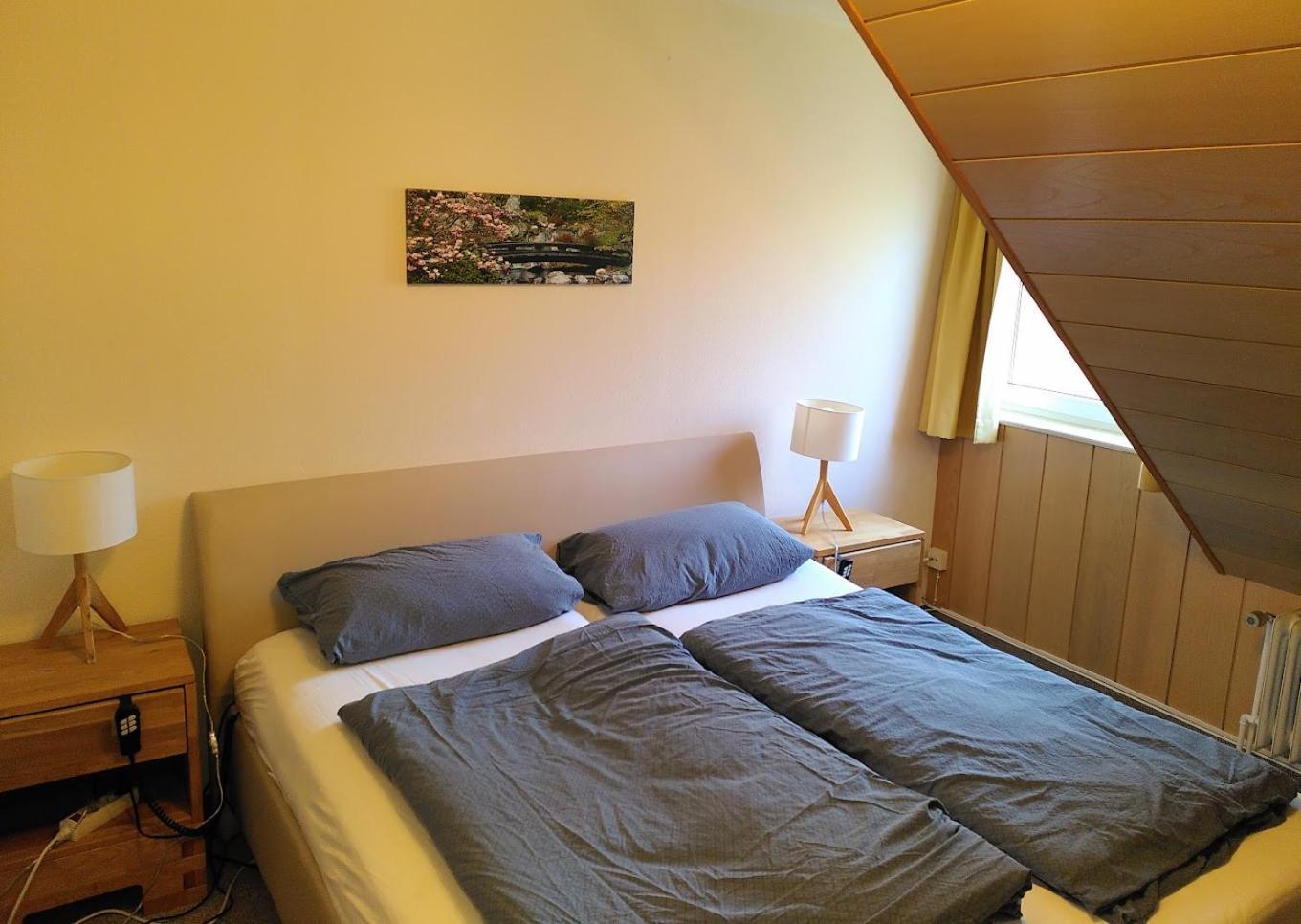 Bio-Hotel Zum Forsthaus Altenau  Bagian luar foto